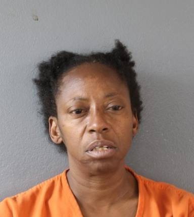Mugshot of Nicole Willis