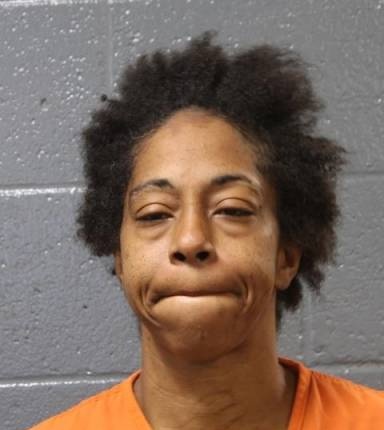 Mugshot of Nikolle Gigger