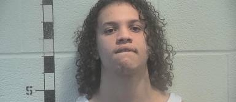 Omauri Downs mugshot