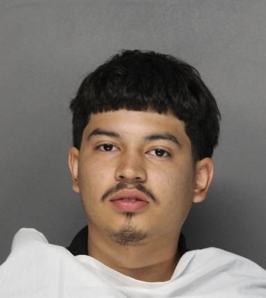 Oscar Martinez-Luna mugshot