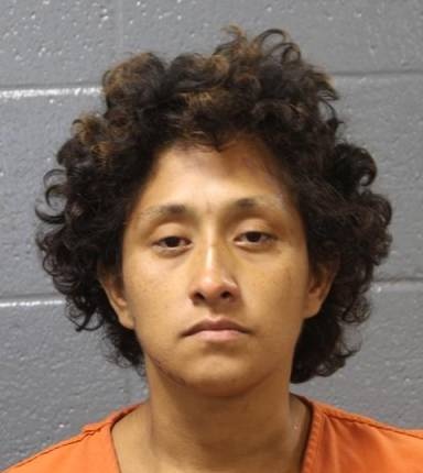 Mugshot of Perla Alamilla