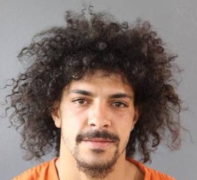 Mugshot of Pharrell Sullivan