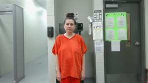 Natalie Ann Hodges mugshot