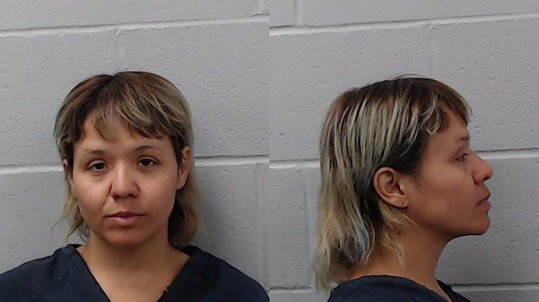 REYES JESSICA LOSOYA mugshot