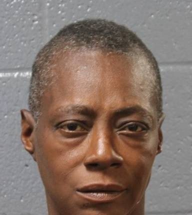 Mugshot of Raquel Dixon