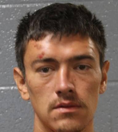 Mugshot of Raven Leyba