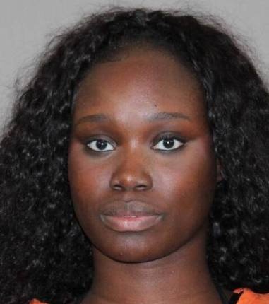 Renee Ramoni mugshot