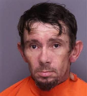 Richard Feagin mugshot