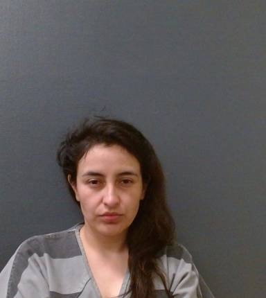 Rosie Solis mugshot
