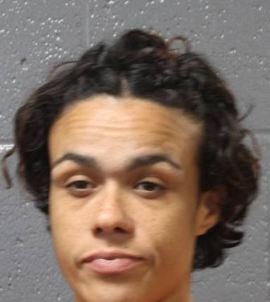 Mugshot of Ryanne Wixom