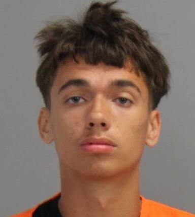 Ryder Hamilton mugshot