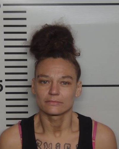 SHEILA J SNOW mugshot