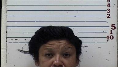 Shannon Delaware mugshot