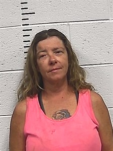 Melissa D Pedersen mugshot