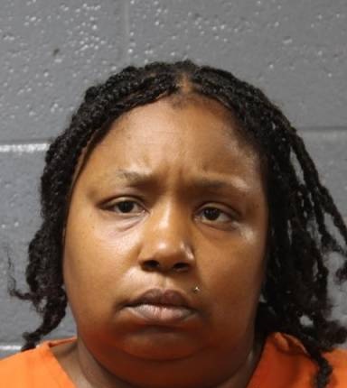 Mugshot of Sheena Viewins