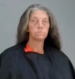 Jerri Lynn Baltic mugshot