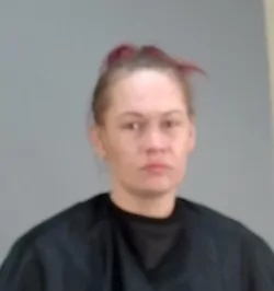 Molly Ann Sparks mugshot