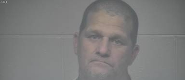 Taylor Fox mugshot