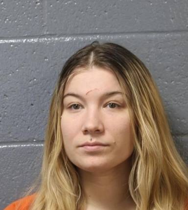 Mugshot of Taylor Meeks