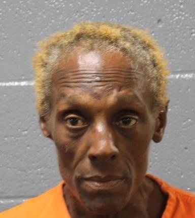 Mugshot of Terri Ellis