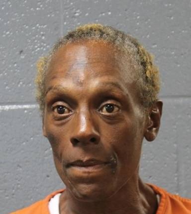 Mugshot of Terri Ellis