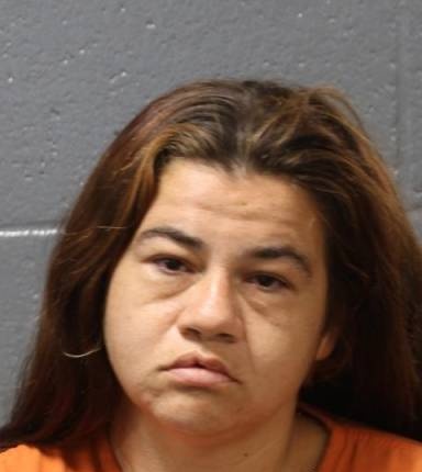 Mugshot of Terrie McGinnis