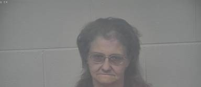 Theresa Stivers mugshot