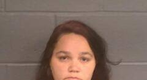 Topanga Havice mugshot
