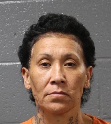 Mugshot of Traci Seeley