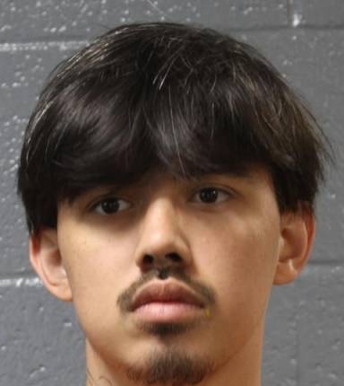 Mugshot of Trenton Nguyen