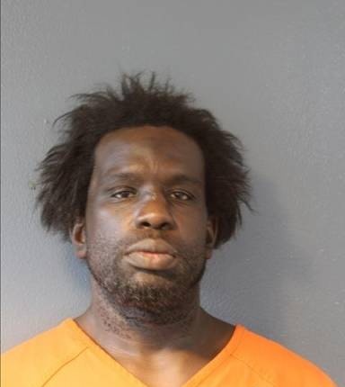 Mugshot of Tyheto Fields