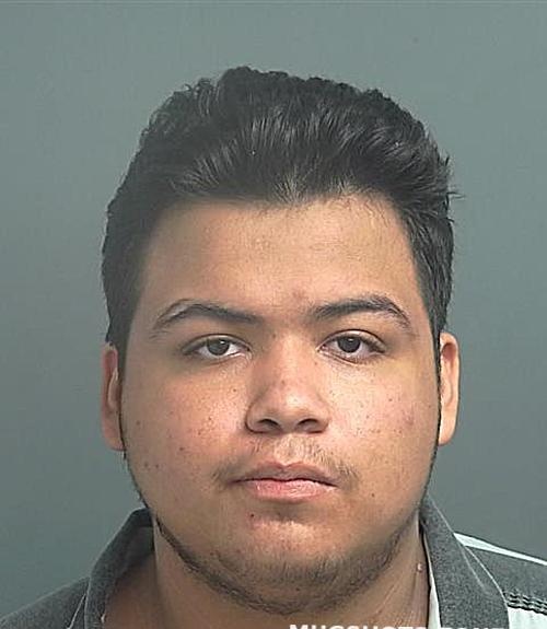 VELA HECTOR ALEJANDRO mugshot