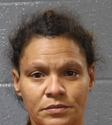 Mugshot of Vanessa Fogleman