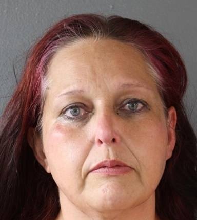 Mugshot of Veronica Cook