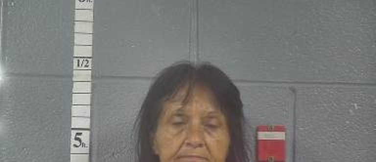 Vickie McCauley mugshot