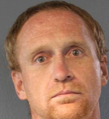 Mugshot of William Nicholson