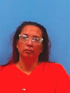 Heather Thomas mugshot