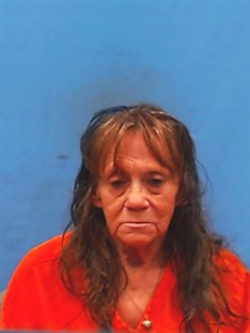 Vickie Lynn Baskin mugshot