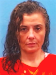 Leslie Amanda Williams mugshot