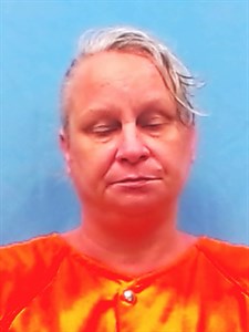 Amanda Darlene Robinson mugshot