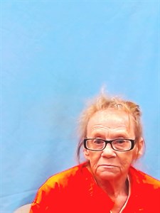 Vickie Lynn Baskin mugshot