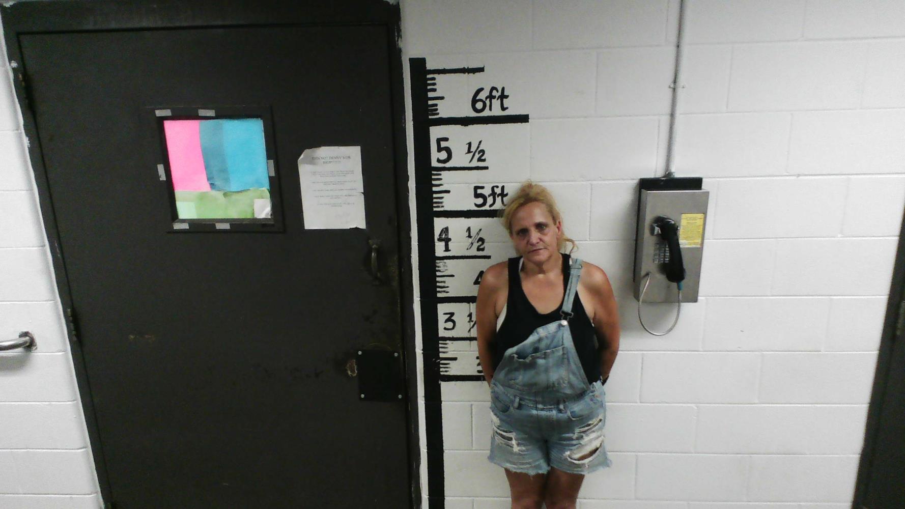 Carol Stanley mugshot