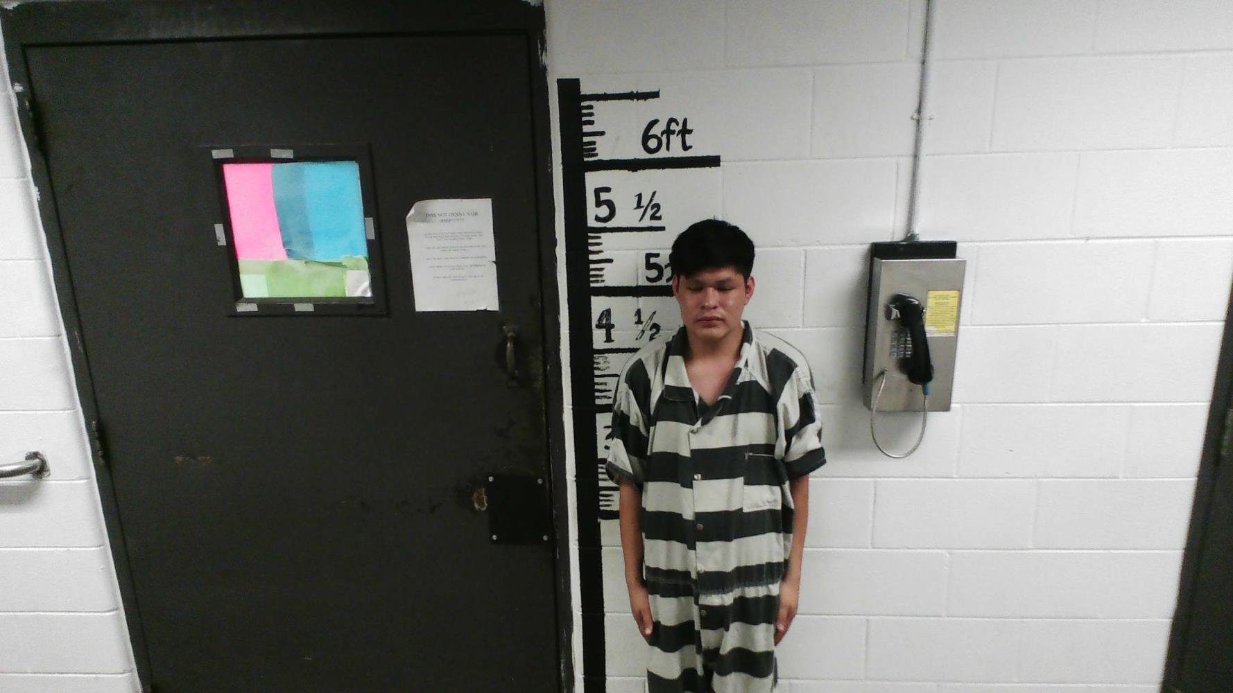 Diego Sanchez mugshot