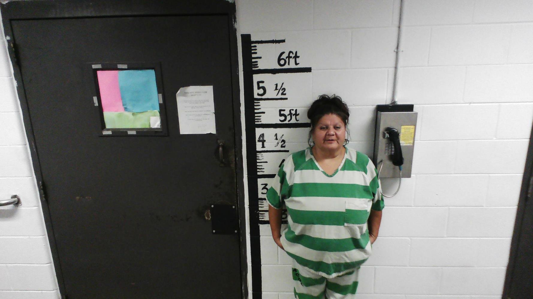 Kari Duncan mugshot