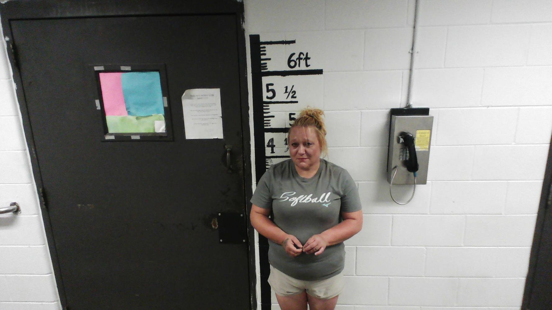 Kristin Lasater mugshot