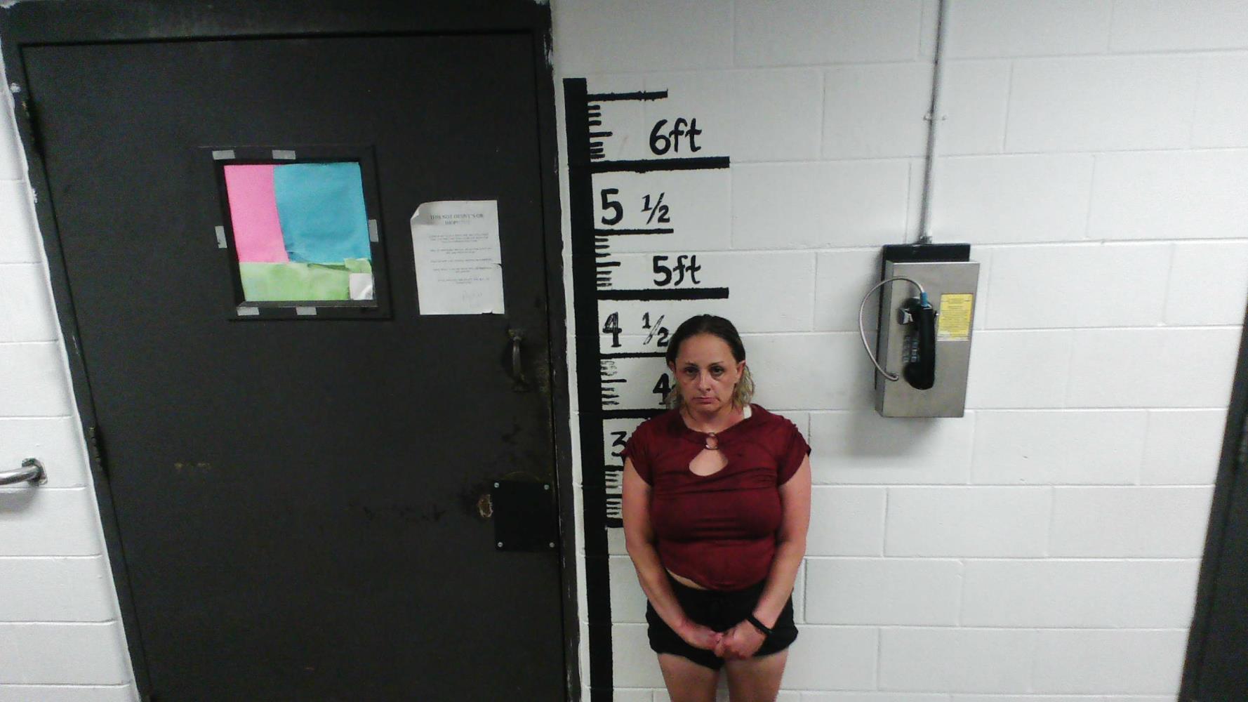 Monica N Trillo mugshot
