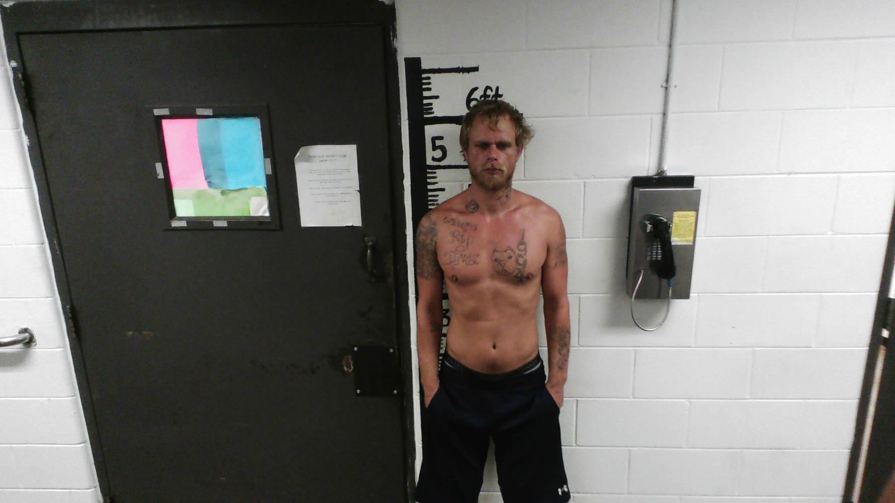 Wyatt Alverson mugshot