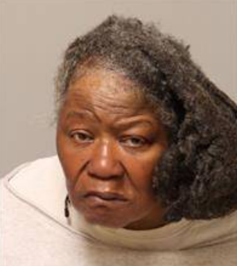 Donna Ann Parker mugshot
