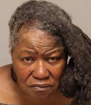 Donna Ann Parker mugshot