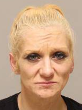 Kylie Ann Sullivan mugshot